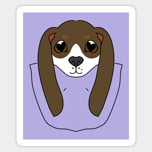 Cute Beagle Puppy in a Pocket Sticker